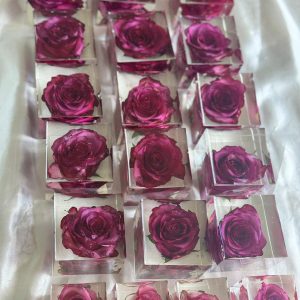 WhatsApp Image 2024-05-25 at 17.23.54