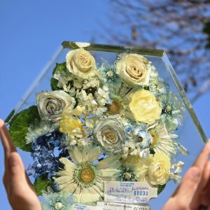 WhatsApp Image 2024-05-28 at 11.10.01