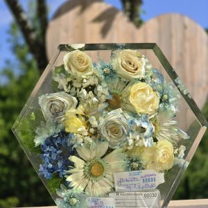 WhatsApp Image 2024-05-28 at 11.10.02